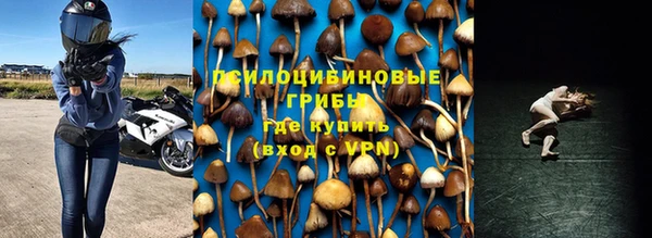 ПСИЛОЦИБИНОВЫЕ ГРИБЫ Белая Холуница