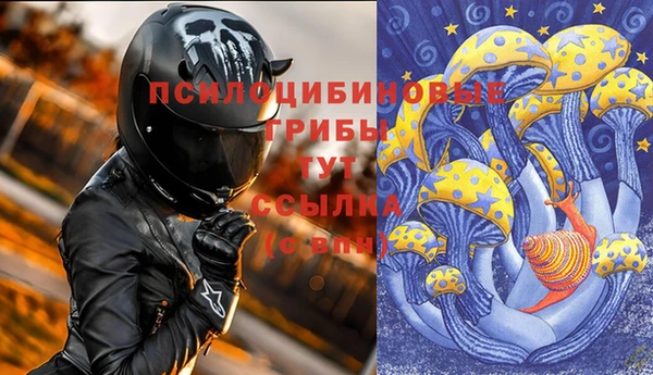 spice Бежецк