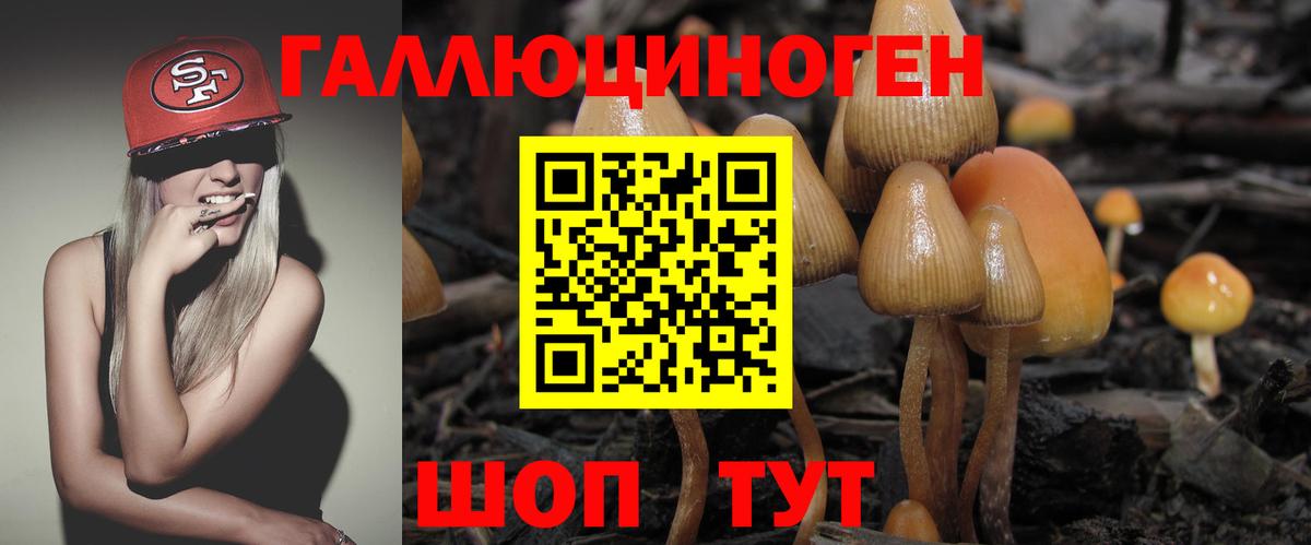 Псилоцибиновые грибы Psilocybe  Галлюциногенные грибы Psilocybe  Железногорск  Вход с VPN 