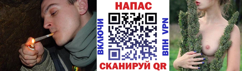 Бошки Шишки MAZAR Железногорск